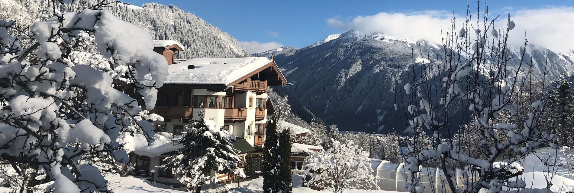 Everything at a glance